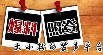 重庆市新闻爆料,聚焦山城最新动态与热点事件